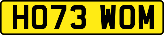 HO73WOM
