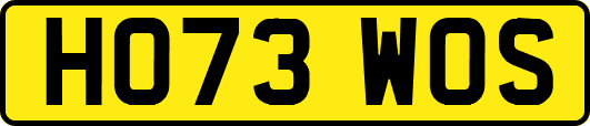 HO73WOS