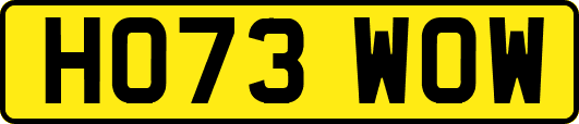 HO73WOW