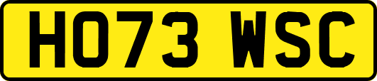 HO73WSC