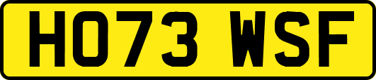 HO73WSF
