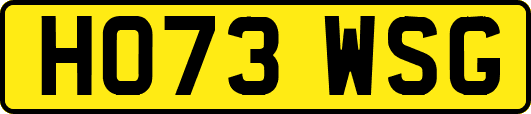 HO73WSG