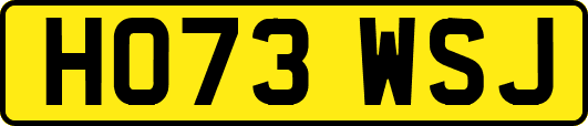 HO73WSJ
