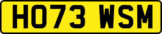HO73WSM