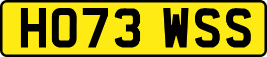HO73WSS