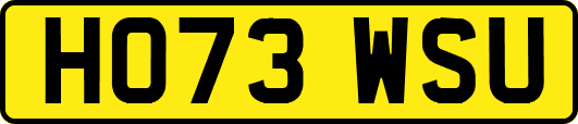 HO73WSU