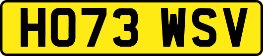 HO73WSV