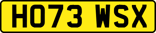 HO73WSX