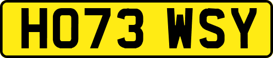 HO73WSY