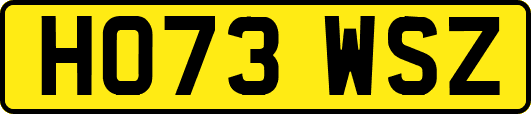 HO73WSZ