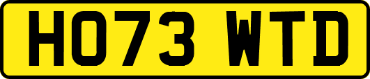 HO73WTD