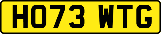 HO73WTG