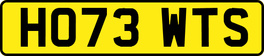 HO73WTS
