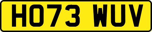 HO73WUV