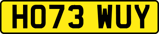 HO73WUY
