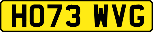 HO73WVG