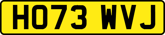 HO73WVJ