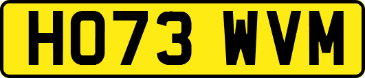 HO73WVM