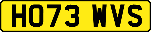 HO73WVS