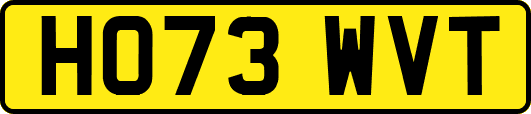 HO73WVT