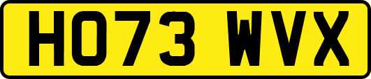 HO73WVX