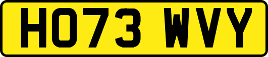 HO73WVY
