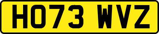 HO73WVZ