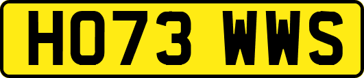 HO73WWS