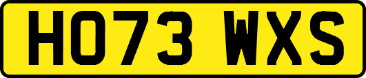 HO73WXS