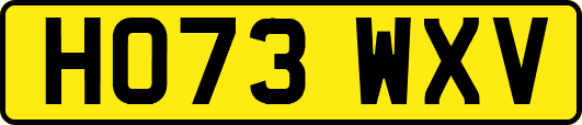HO73WXV