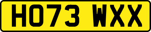 HO73WXX