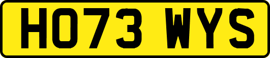 HO73WYS