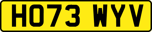 HO73WYV