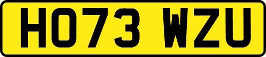 HO73WZU