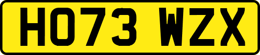 HO73WZX