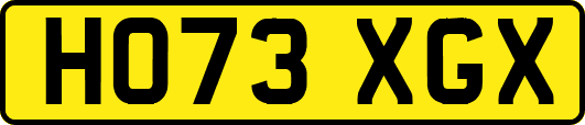 HO73XGX