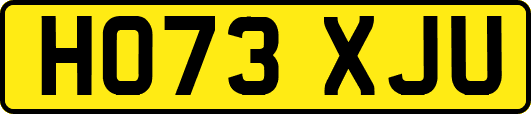 HO73XJU