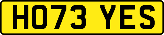 HO73YES
