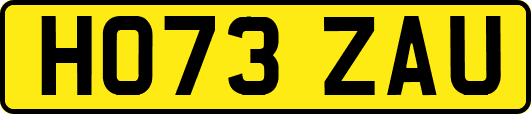 HO73ZAU