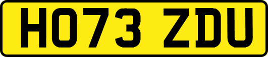 HO73ZDU
