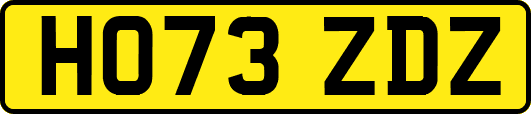HO73ZDZ