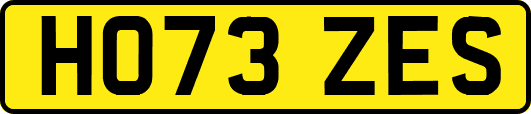 HO73ZES