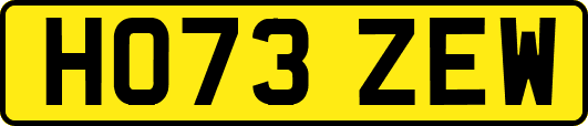 HO73ZEW