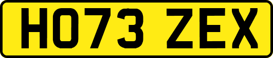 HO73ZEX