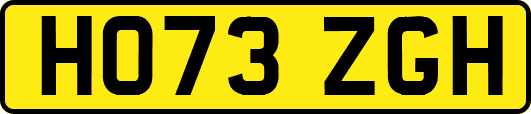 HO73ZGH