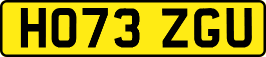 HO73ZGU
