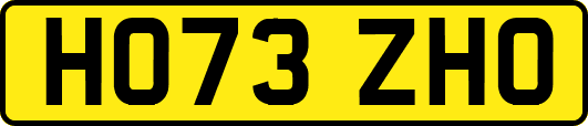 HO73ZHO