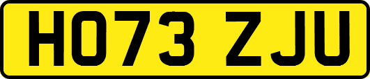 HO73ZJU