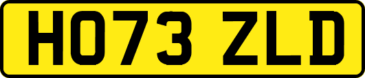 HO73ZLD