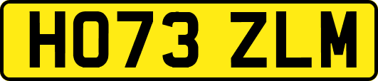 HO73ZLM